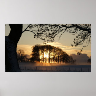 Winter wonderland poster