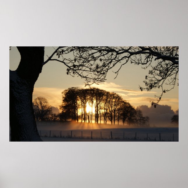 Winter wonderland poster (Framsidan)