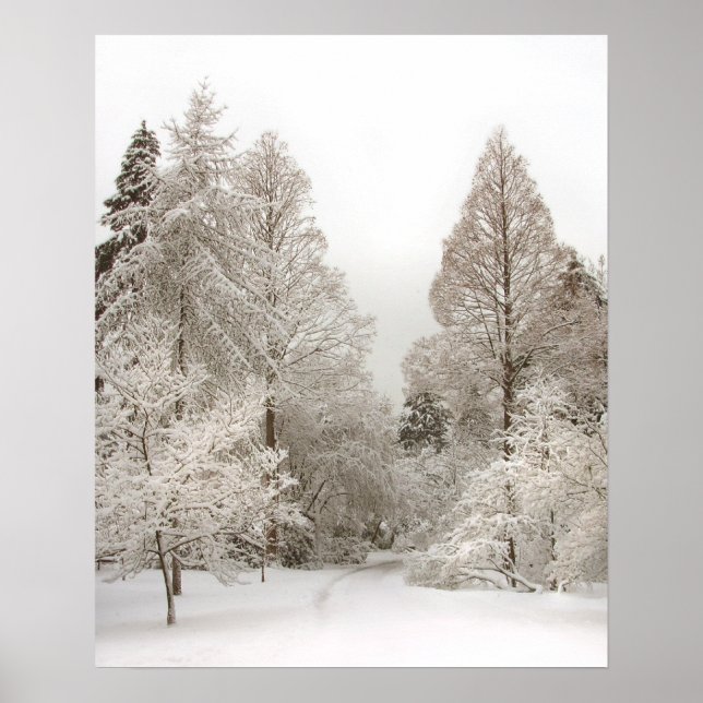 Winter Wonderland Poster Winter Vancouver-utskrift (Framsidan)