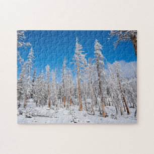 Winter Wonderland Pussel