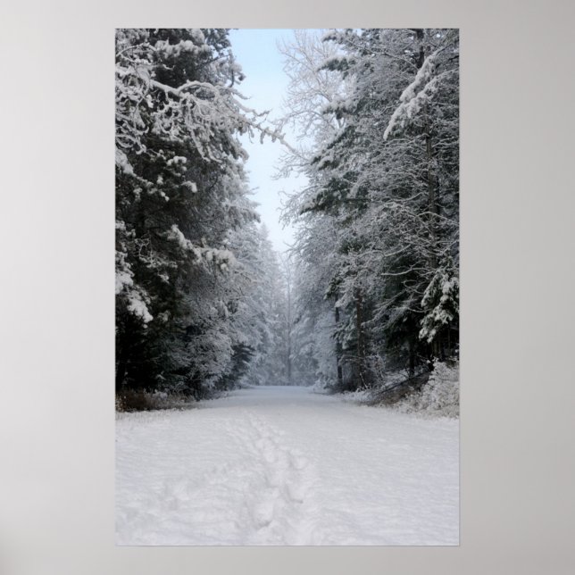 Winter Wonderland Road POSTER (Framsidan)