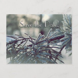 Winter Wonderland Save Date Postcard Meddelande Vykort