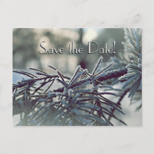 Winter Wonderland Save Date Postcard Meddelande Vykort (Framsida)