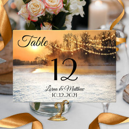 Winter Wonderland String Ljus Bordsnummer Card