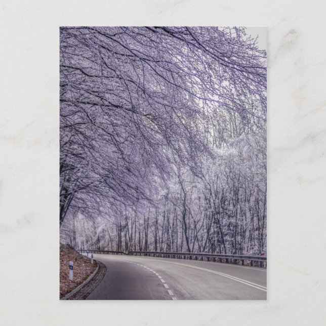 Winter Wonderland Travel Photo Vykort (Framsida)