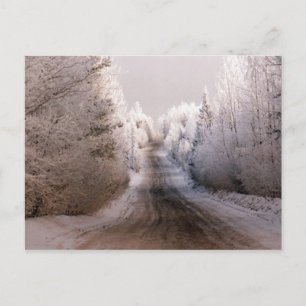 Winter Wonderland - vykort