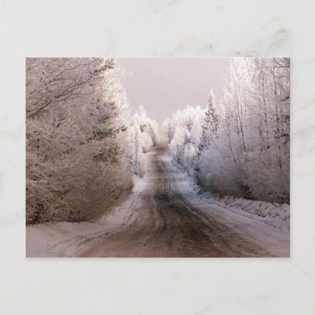 Winter Wonderland - vykort (Framsida)