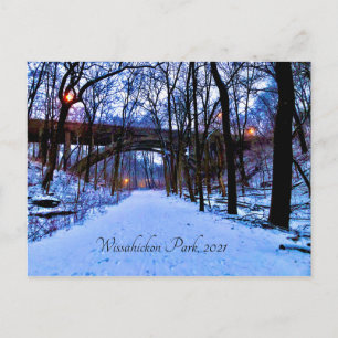 Winter Wonderland Vykort