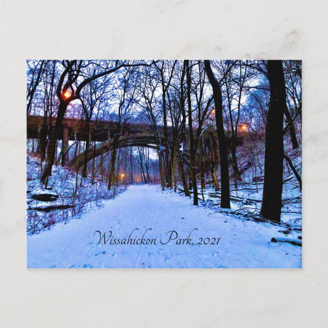 Winter Wonderland Vykort (Framsida)