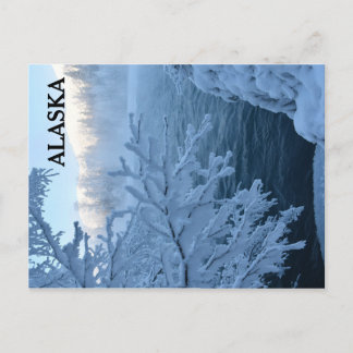 Winter Wonderland Vykort