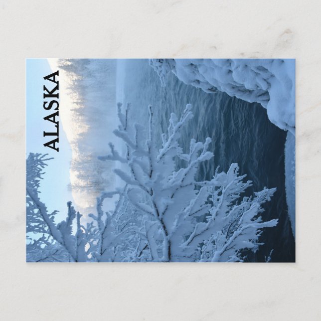 Winter Wonderland Vykort (Framsida)