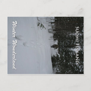 Winter Wonderland Vykort