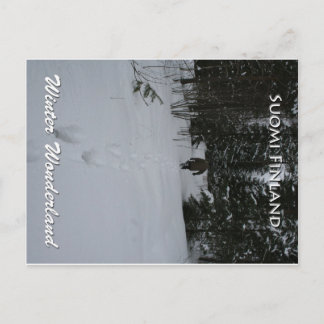 Winter Wonderland Vykort
