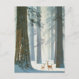 Winter Wonderland Vykort