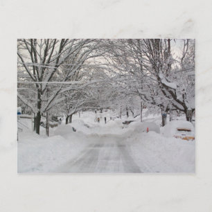 Winter Wonderland Vykort