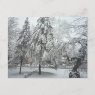 Winter Wonderland Vykort