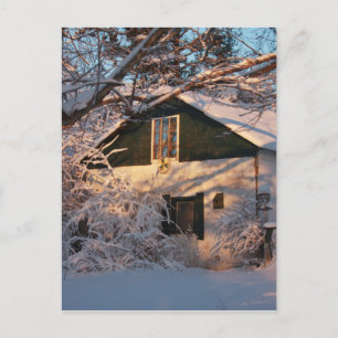Winter Wonderland Vykort
