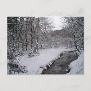 Winter wonderland vykort