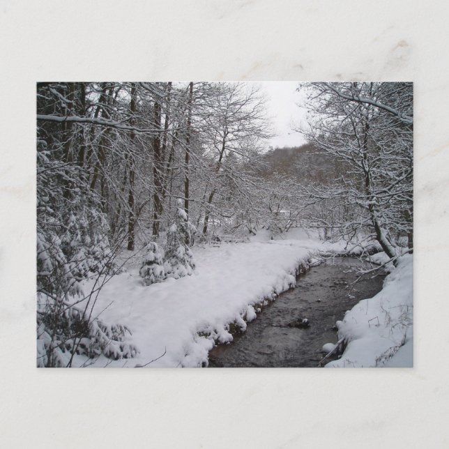 Winter wonderland vykort (Framsida)