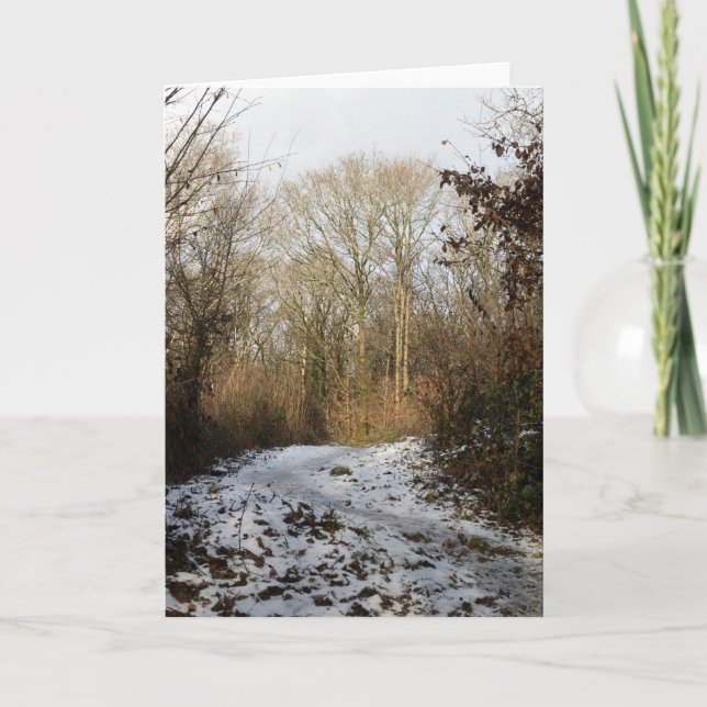 Winter Woodland Arnside Tack Kort (Framsida)