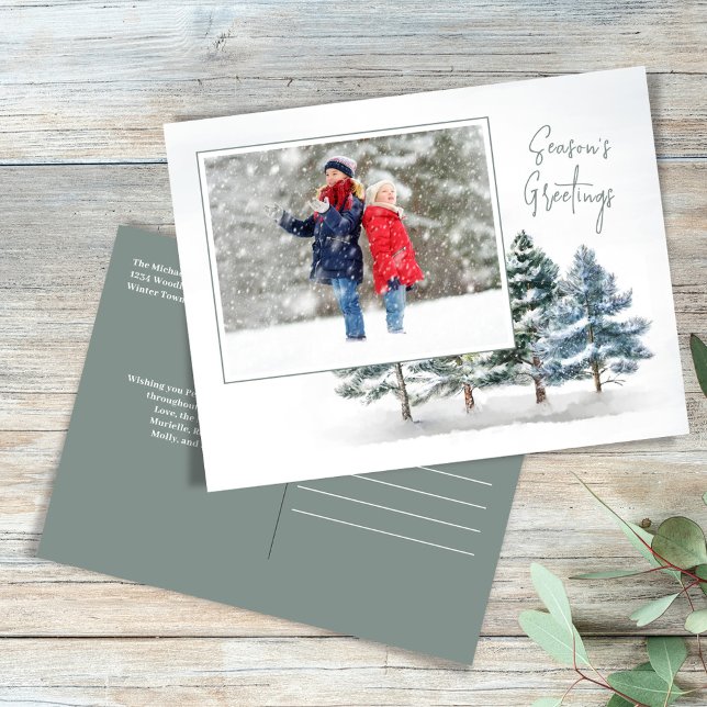 Winter Woodland Season's Greetings Photo Helg Vykort (Season's Greetings holiday photo postcard.)