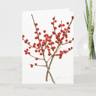Winterberry Helgkort