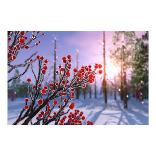 Winterberry in Ice Photo Print Fototryck