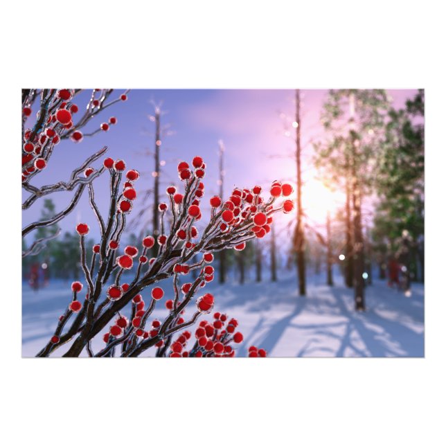 Winterberry in Ice Photo Print Fototryck (Framsidan)