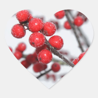 Winterberry Sticker Hjärtformat Klistermärke