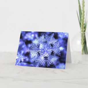 Winterborn julkort helgkort