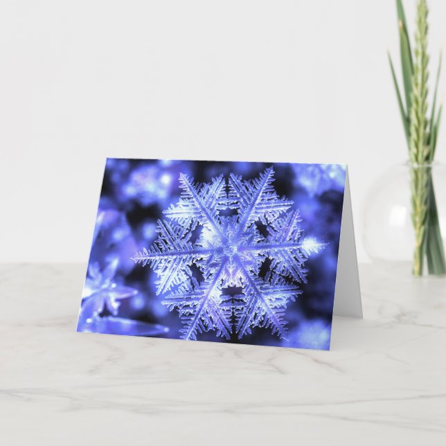 Winterborn julkort helgkort (Framsida)