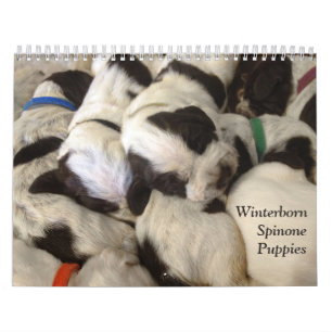 Winterborn Spinone ~ reviderade Med. för Kalender