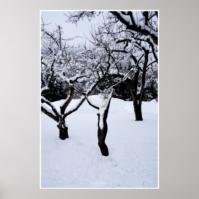 Winterland by Johannes Stötter Poster (Framsidan)