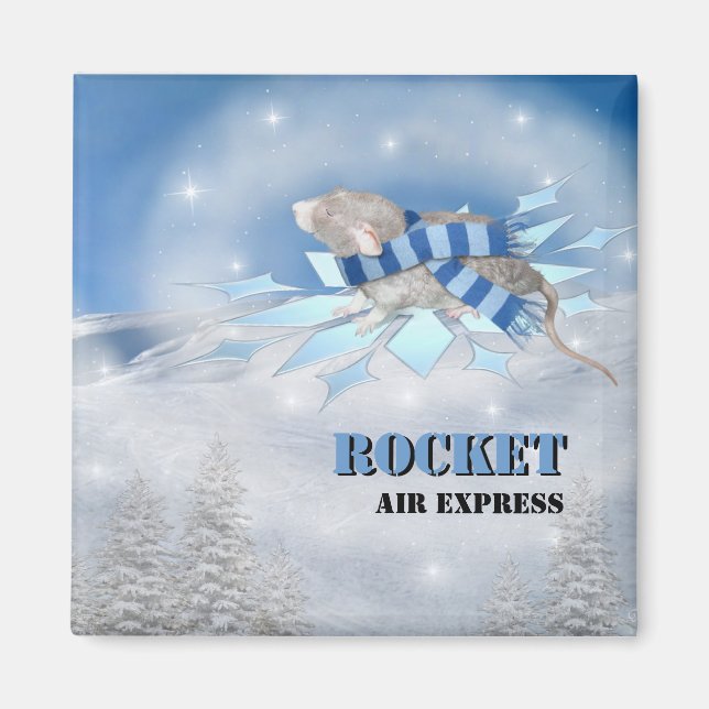 Winterland Journey Magnet (Framsidan)