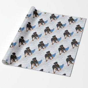 Winterland Rottweiler Presentpapper
