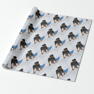 Winterland Rottweiler Presentpapper