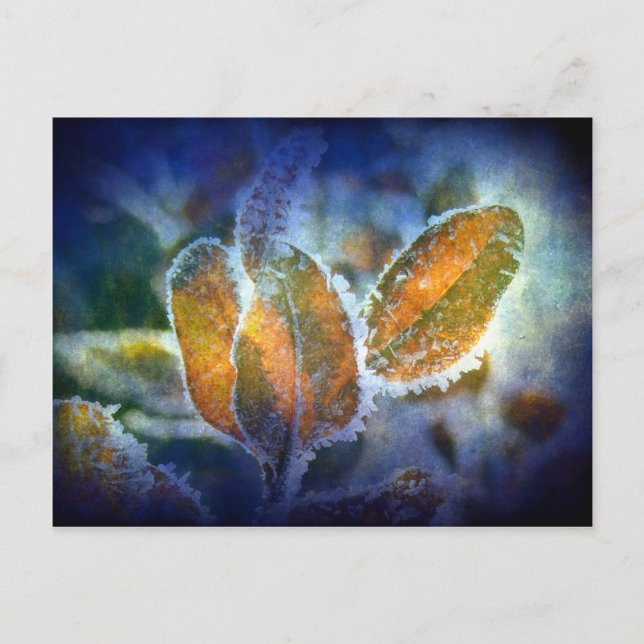 Winter's Chill Vykort (Framsida)