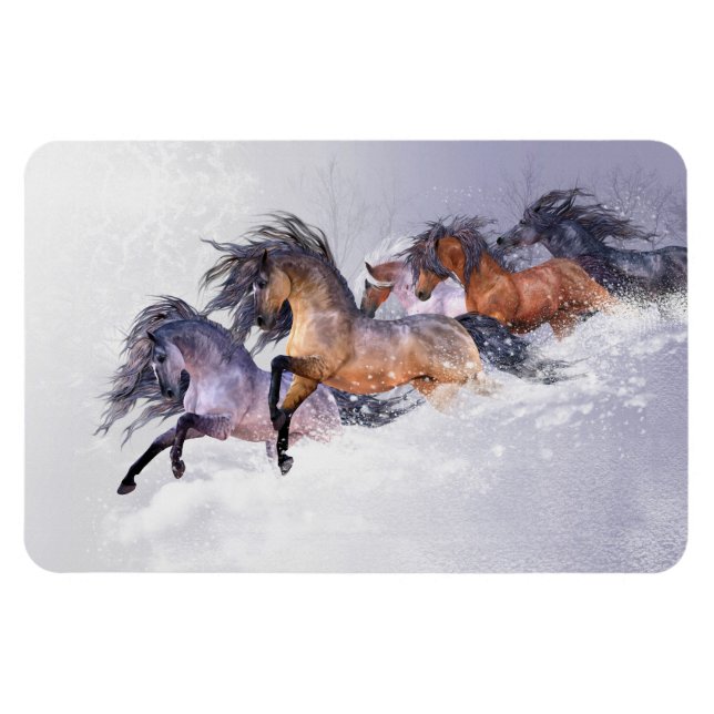 Winter's Flight Premium Flexi Magnet (Horisontell)