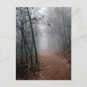 Winters Fog - ingen ände i sikte på tåggåvor Vykort