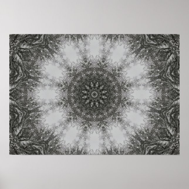 Winter's Mandala Poster (Framsidan)