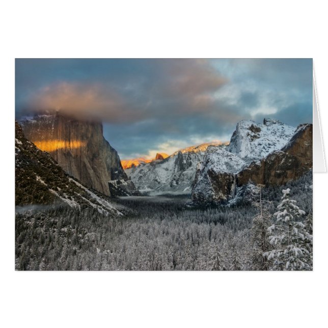 Winter's Mark Hälsningskort (Framsidan Horizontal)