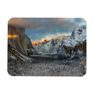 Winter's Mark Magnet