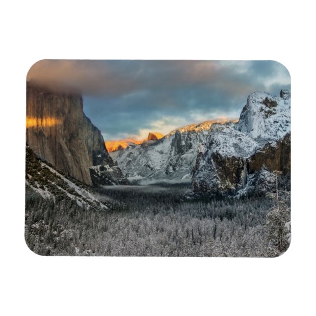 Winter's Mark Magnet (Horisontell)