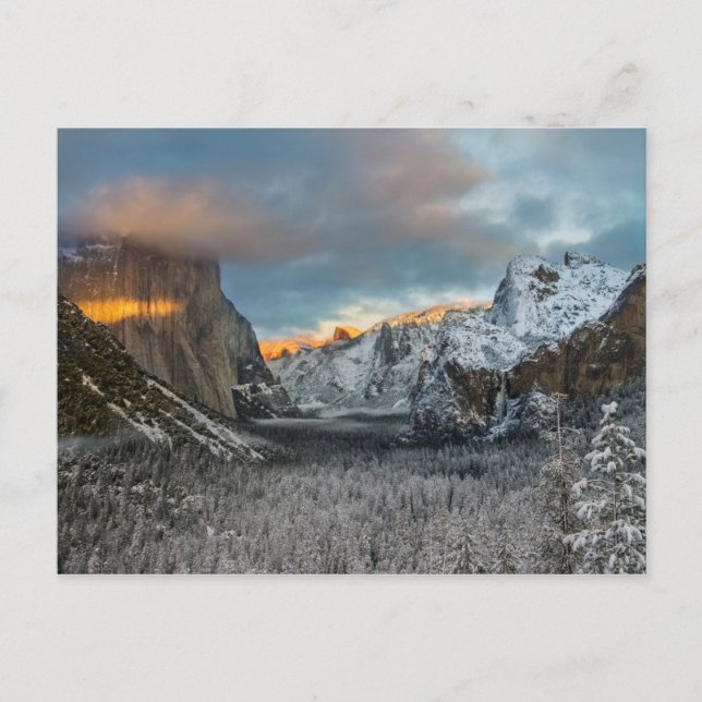 Winter's Mark Vykort (Framsida)