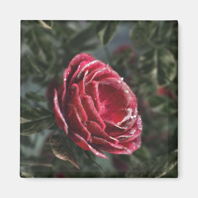 Winter's Parting Gift Magnet (Framsidan)