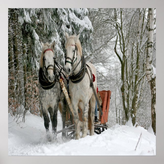 Wintertime Sleigh Ride Poster (Framsidan)