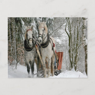 Wintertime Sleigh Ride Vykort