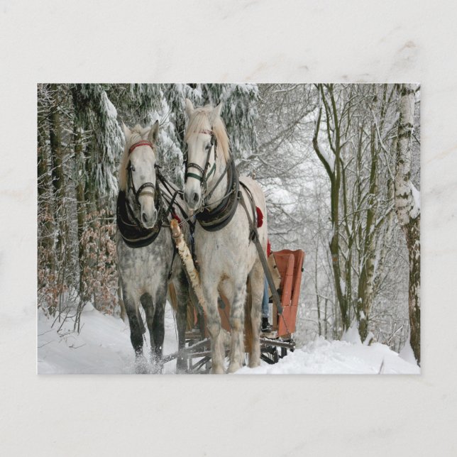 Wintertime Sleigh Ride Vykort (Framsida)