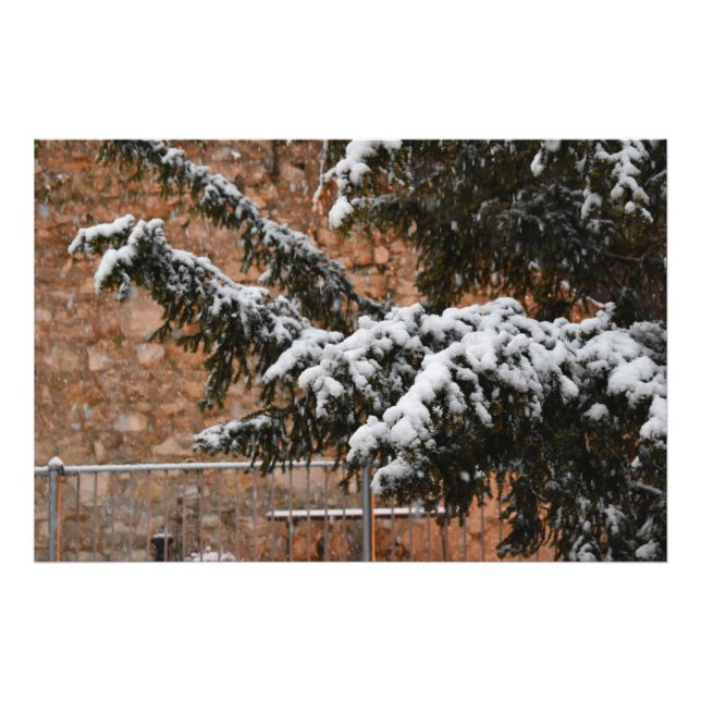 Wintertime , snö på träd fototryck (Framsidan)