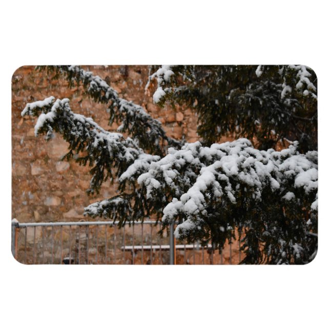 Wintertime , snö på träd magnet (Horisontell)